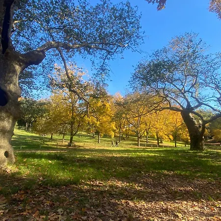 Апартаменты Piazza Del Popolo - Attico Рим